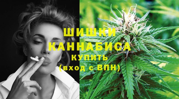 мдпв Коряжма