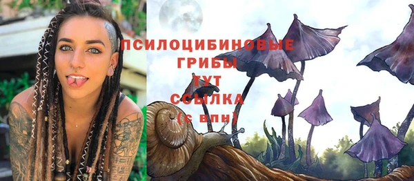 mix Баксан