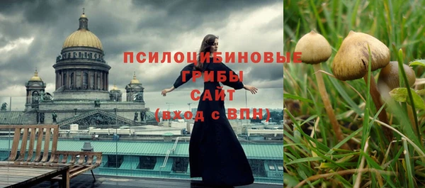 PSILOCYBIN Сосновый Бор
